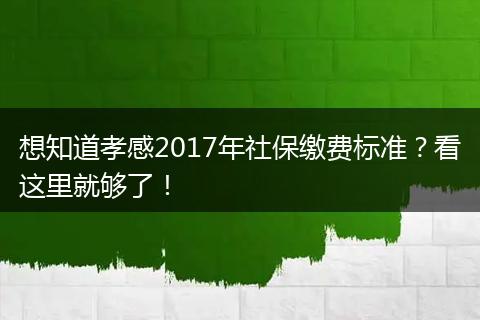 想知道孝感2017年社保缴费标准？看这里就够了！