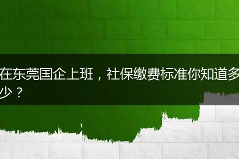 在东莞国企上班，社保缴费标准你知道多少？