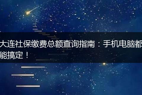 大连社保缴费总额查询指南：手机电脑都能搞定！