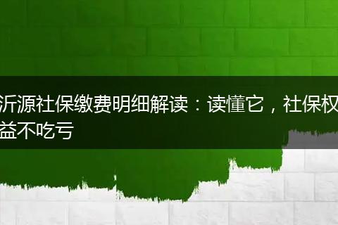沂源社保缴费明细解读:读懂它,社保权益不吃亏