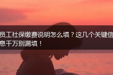 员工社保缴费说明怎么填？这几个关键信息千万别漏填！