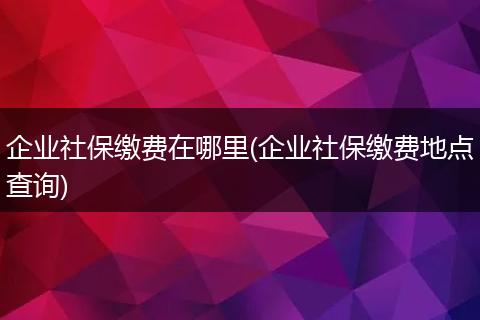 企业社保缴费在哪里(企业社保缴费地点查询)