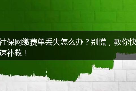 社保网缴费单丢失怎么办？别慌，教你快速补救！