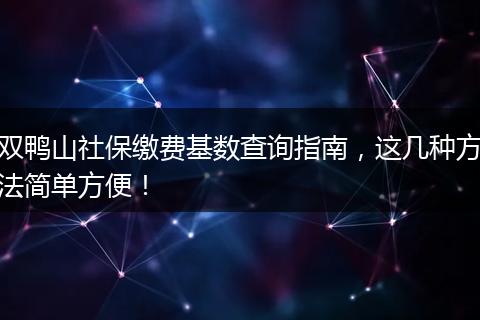 双鸭山社保缴费基数查询指南，这几种方法简单方便！
