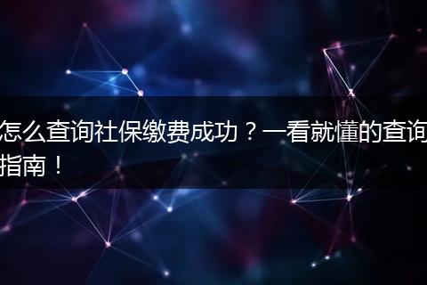 怎么查询社保缴费成功?一看就懂的查询指南!