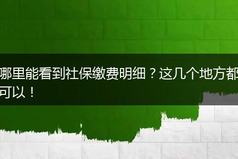 哪里能看到社保缴费明细？这几个地方都可以！
