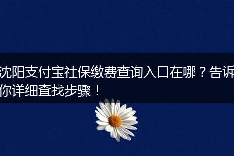 沈阳支付宝社保缴费查询入口在哪？告诉你详细查找步骤！