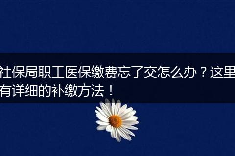 社保局职工医保缴费忘了交怎么办？这里有详细的补缴方法！