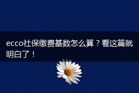 ecco社保缴费基数怎么算？看这篇就明白了！