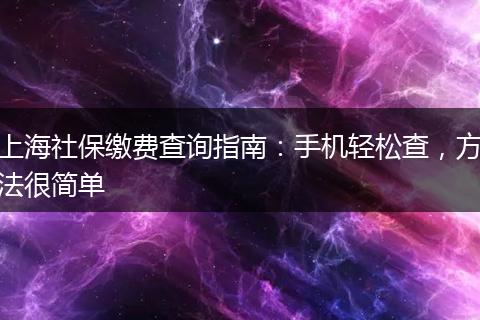 上海社保缴费查询指南:手机轻松查,方法很简单
