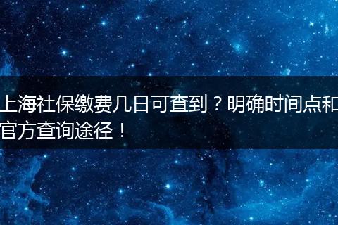 上海社保缴费几日可查到？明确时间点和官方查询途径！