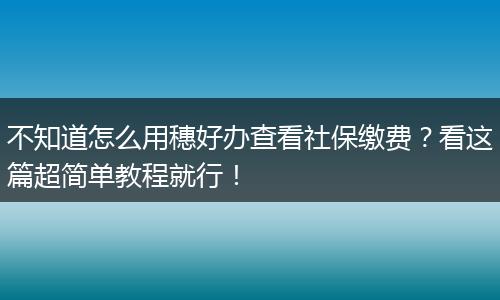 不知道怎么用穗好办查看社保缴费？看这篇超简单教程就行！