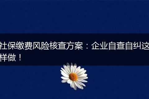社保缴费风险核查方案：企业自查自纠这样做！