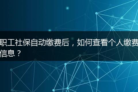 职工社保自动缴费后，如何查看个人缴费信息？
