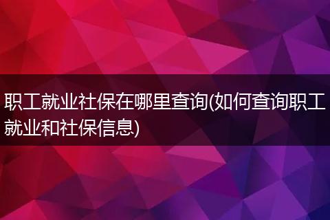 职工就业社保在哪里查询(如何查询职工就业和社保信息)
