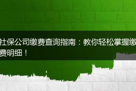 社保公司缴费查询指南：教你轻松掌握缴费明细！