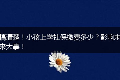搞清楚!小孩上学社保缴费多少?影响未来大事!
