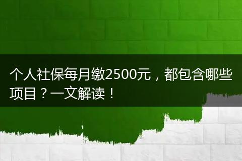 个人社保每月缴2500元,都包含哪些项目?一文解读!