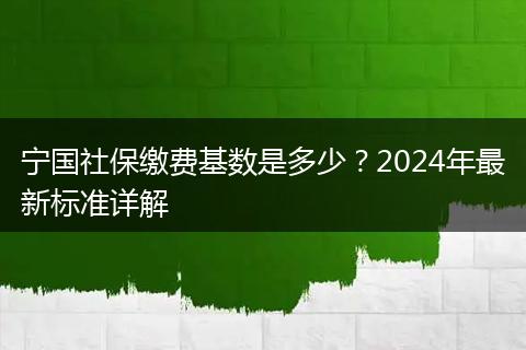宁国社保缴费基数是多少？2024年最新标准详解