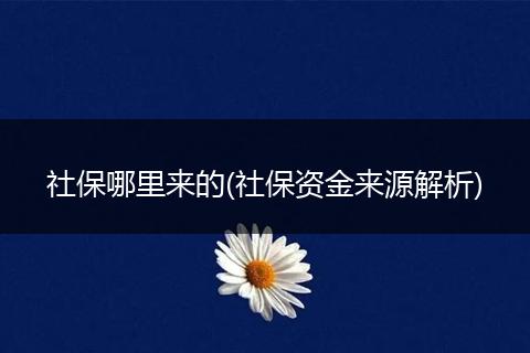 社保哪里来的(社保资金来源解析)