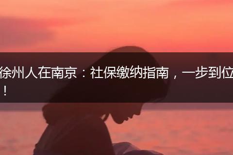 徐州人在南京:社保缴纳指南,一步到位!