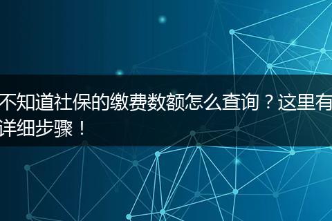 不知道社保的缴费数额怎么查询?这里有详细步骤!