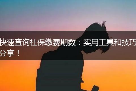 快速查询社保缴费期数:实用工具和技巧分享!