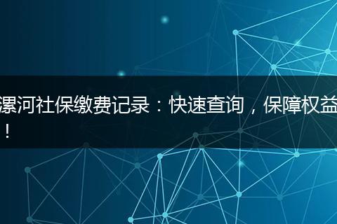 漯河社保缴费记录：快速查询，保障权益！