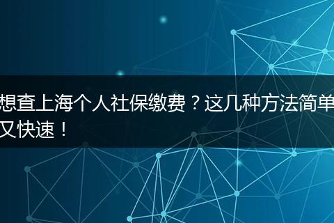 想查上海个人社保缴费？这几种方法简单又快速！