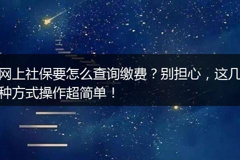 网上社保要怎么查询缴费？别担心，这几种方式操作超简单！