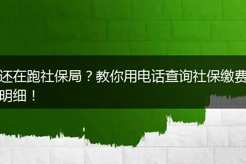 还在跑社保局？教你用电话查询社保缴费明细！
