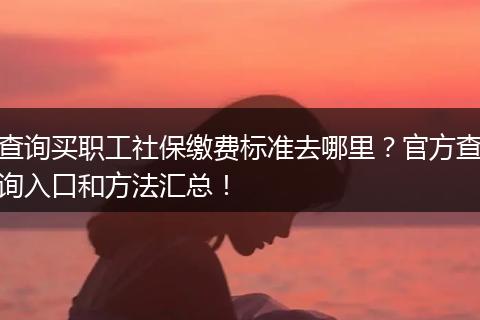 查询买职工社保缴费标准去哪里？官方查询入口和方法汇总！