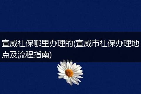 宣威社保哪里办理的(宣威市社保办理地点及流程指南)