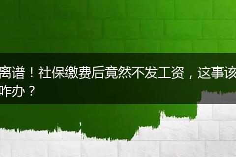 离谱！社保缴费后竟然不发工资，这事该咋办？