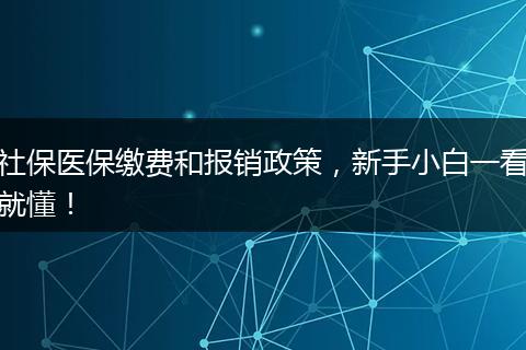 社保医保缴费和报销政策,新手小白一看就懂!