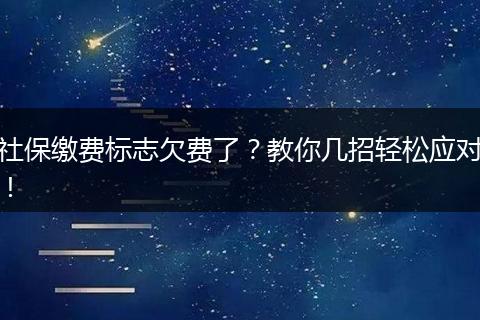 社保缴费标志欠费了？教你几招轻松应对！