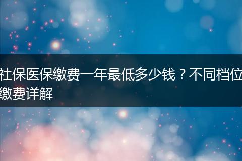 社保医保缴费一年最低多少钱？不同档位缴费详解
