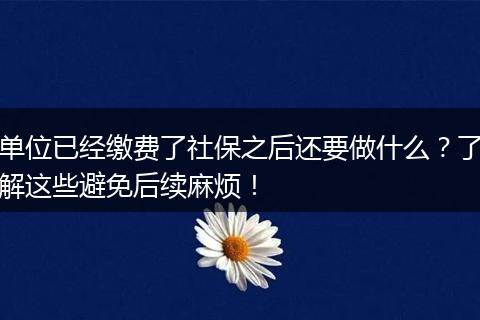 单位已经缴费了社保之后还要做什么？了解这些避免后续麻烦！