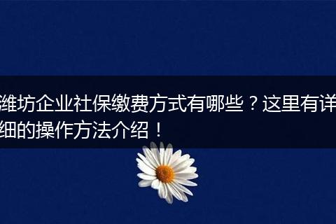 潍坊企业社保缴费方式有哪些？这里有详细的操作方法介绍！