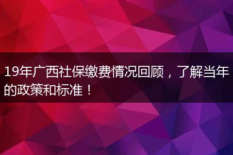 19年广西社保缴费情况回顾，了解当年的政策和标准！