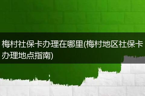 梅村社保卡办理在哪里(梅村地区社保卡办理地点指南)