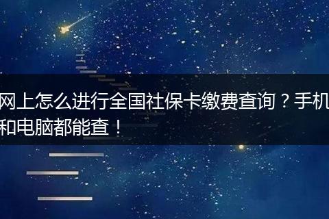 网上怎么进行全国社保卡缴费查询？手机和电脑都能查！
