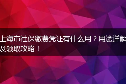 上海市社保缴费凭证有什么用?用途详解及领取攻略!