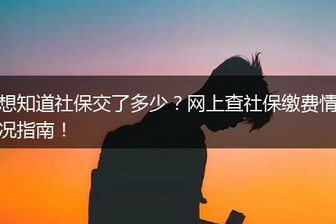 想知道社保交了多少？网上查社保缴费情况指南！