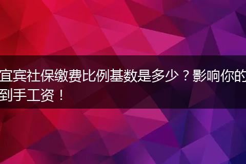 宜宾社保缴费比例基数是多少？影响你的到手工资！
