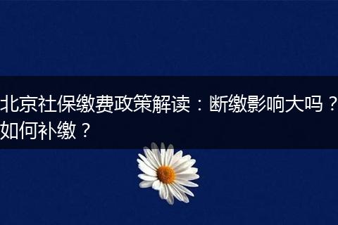北京社保缴费政策解读：断缴影响大吗？如何补缴？