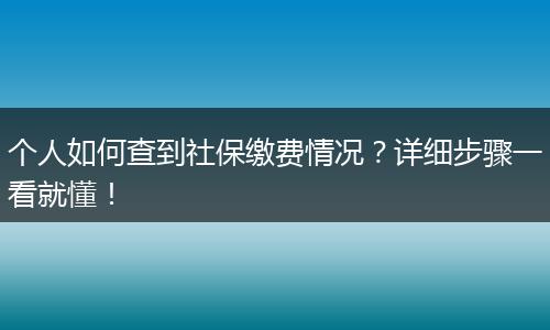 个人如何查到社保缴费情况？详细步骤一看就懂！