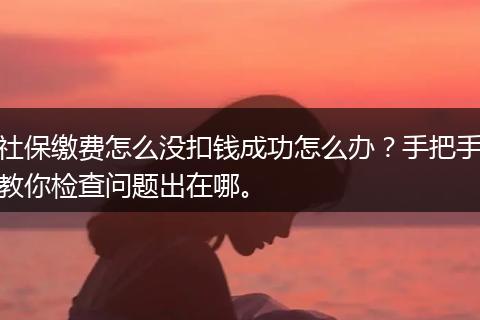 社保缴费怎么没扣钱成功怎么办？手把手教你检查问题出在哪。