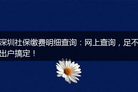 深圳社保缴费明细查询:网上查询,足不出户搞定!