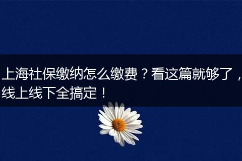 上海社保缴纳怎么缴费？看这篇就够了，线上线下全搞定！